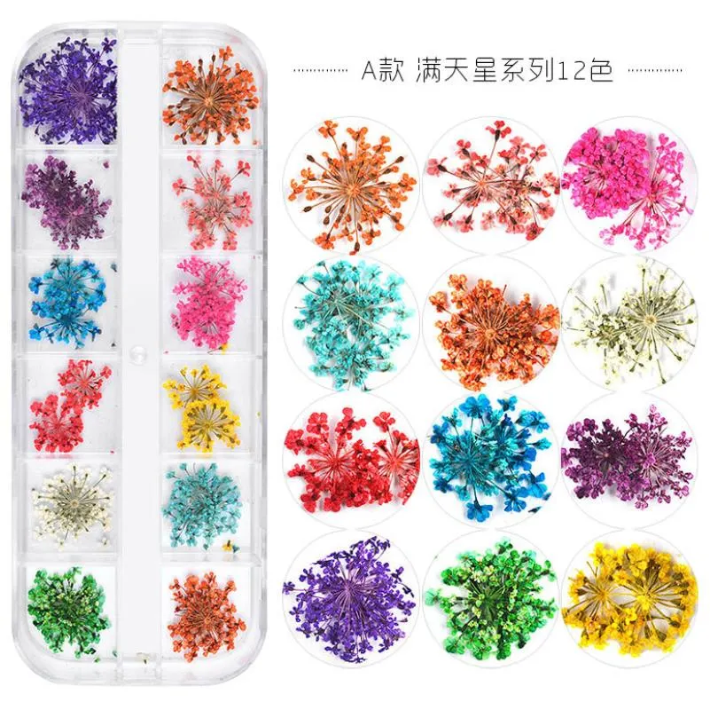 Nail Dried Flowers 12 Color Star Sun Flower Small Daisy Dry Flowers Decoration